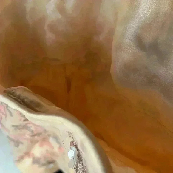 Vintage Fairycore Princess Coquette Embroidered Corset Prom Dress 8 Made In USA - Picture 14 of 15